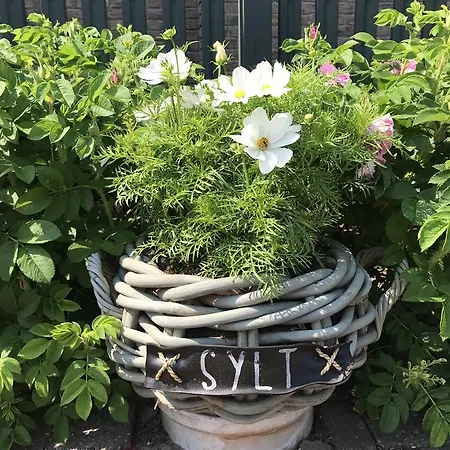 Parkresidenz Christian Viii 4*